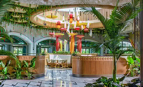 Maia 700X315p Rc23 Dp 490X3 Card