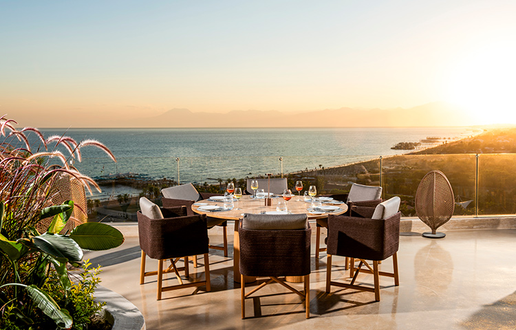 REGNUM THE CROWN NUAGE 01 Card V2