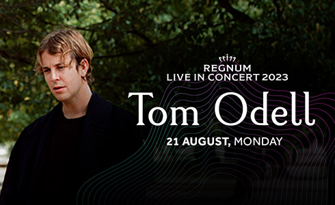 TOMODELL WEB SİTESİ Magazıne BANNER En490x300 Card