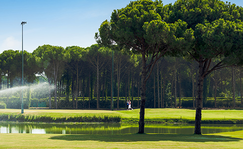 Regnumcarya Walkingpath 01 Card