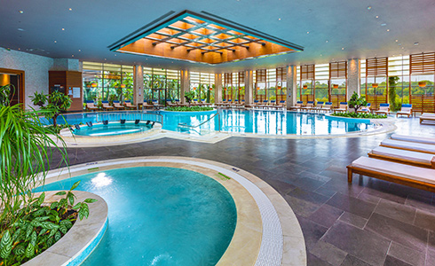 Regnım Carya Indoor Pool Card