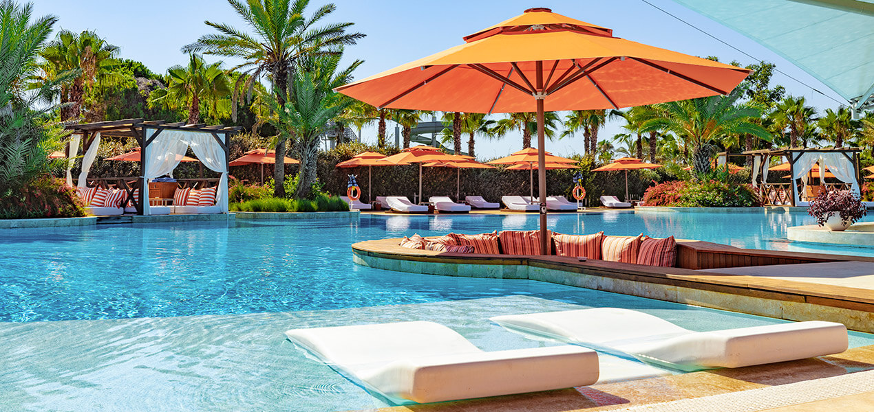 Adult Pool 36 Regnumcarya